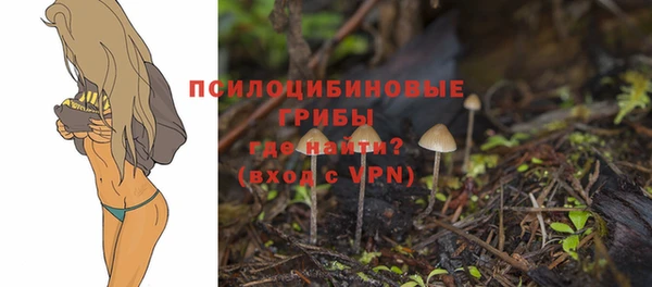амфетамин Дмитров