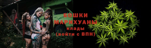 дурь Дмитровск