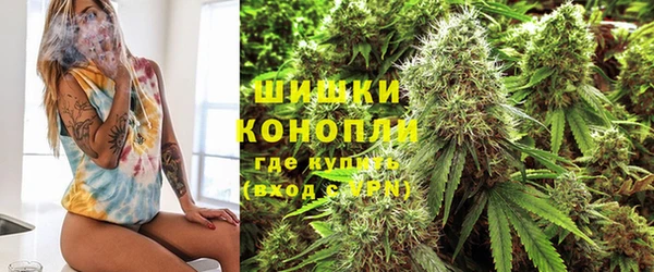СК Дмитриев